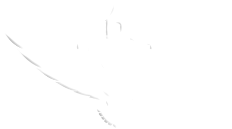 NEW BEGINNERS CHURCH
